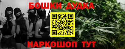 мдпв Новозыбков
