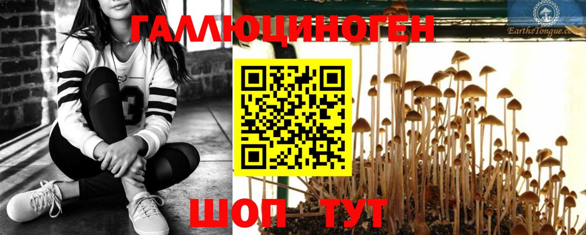 Галлюциногенные грибы ЛСД Алатырь