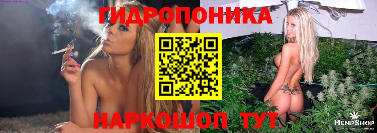 Алатырь  Каннабис ГИДРОПОН  Каннабис LSD WEED  Вход с VPN  Марихуана SATIVA & INDICA 